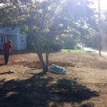 New Lawn Installation and Renovations