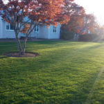 New Lawn Installation and Renovations