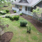 New Lawn Installation and Renovations